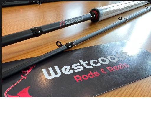 Westcoast Mooching/Downrigger Rod 9'