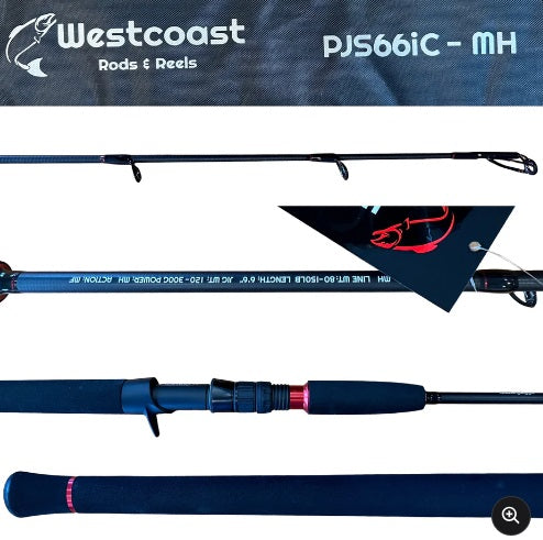 Westcoast Pacific Jigging Series 1-Piece Jigging Rod