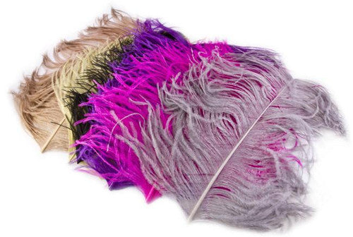 WAPSI OSTRICH PLUMES