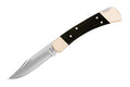 Buck 110 Hunter Folding Knife