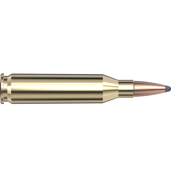 Hornady American Whitetail 243 Win 100 gr InterLock BTSP