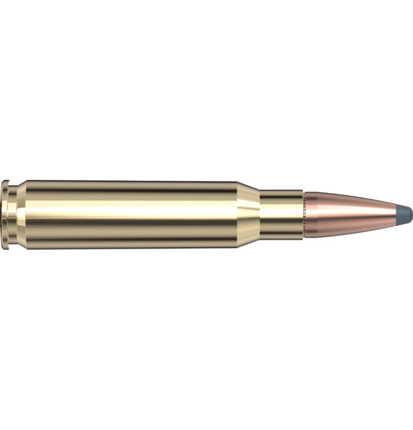 Hornady American Whitetail 308 Win 165 gr InterLock SP