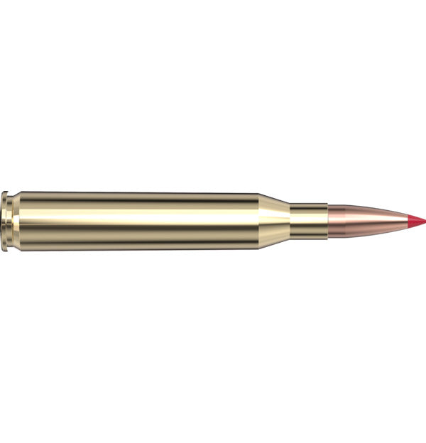 Hornady Precision Hunter 25-06 Rem 110 gr ELD-X