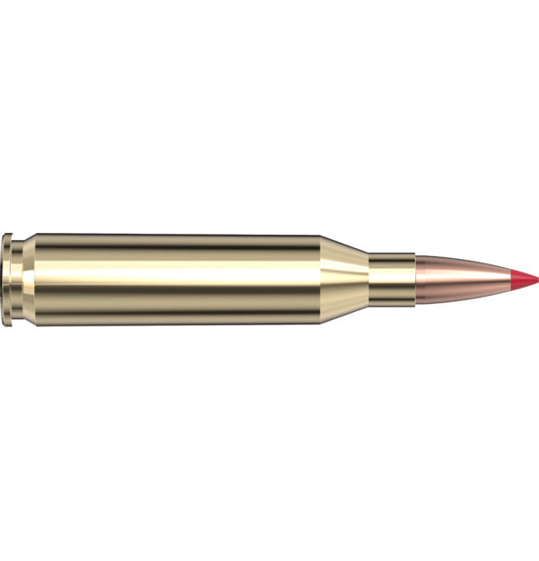 Hornady Precision Hunter 243 Win 90 gr ELD-X