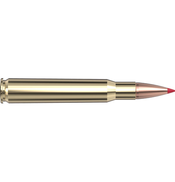 Hornady Superformance 30-06 Springfield 165 gr CX