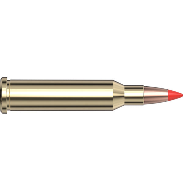 Hornady Superformance Varmint 17 Hornet 20 gr V-MAX
