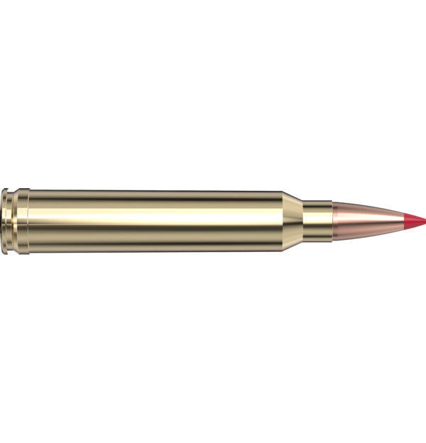 Hornady Precision Hunter 300 Win Mag 200 gr ELD-X