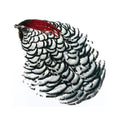 WAPSI LADY AMHERST PHEASANT NECK NATURAL
