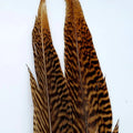 H&H GOLDEN PHEASANT TAIL