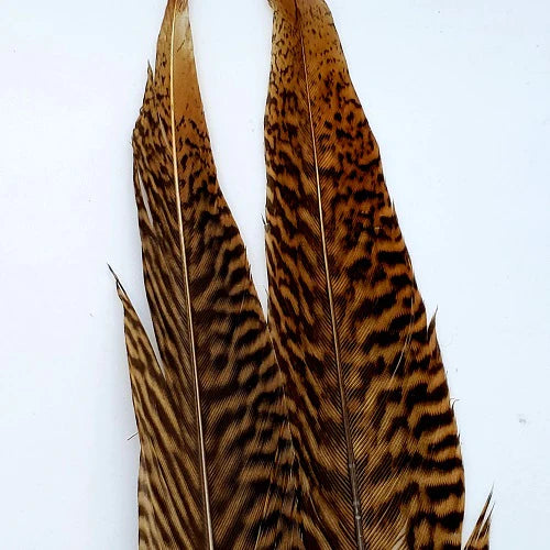 H&H GOLDEN PHEASANT TAIL