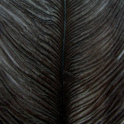 Wapsi Ostrich Plumes - view 2 of 4