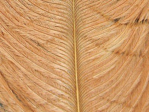 Wapsi Ostrich Plumes - view 4 of 4