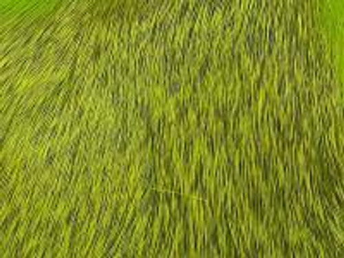 Wapsi Deer Body Hair - view 6 of 7