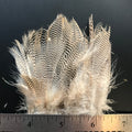 Ofishl Strung Mallard Flank - view 2 of 6