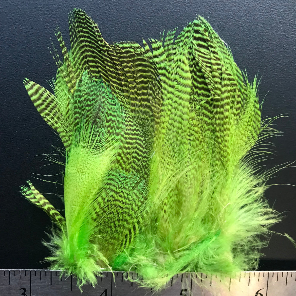 Ofishl Strung Mallard Flank - view 3 of 6