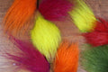Polar Bear Hairs