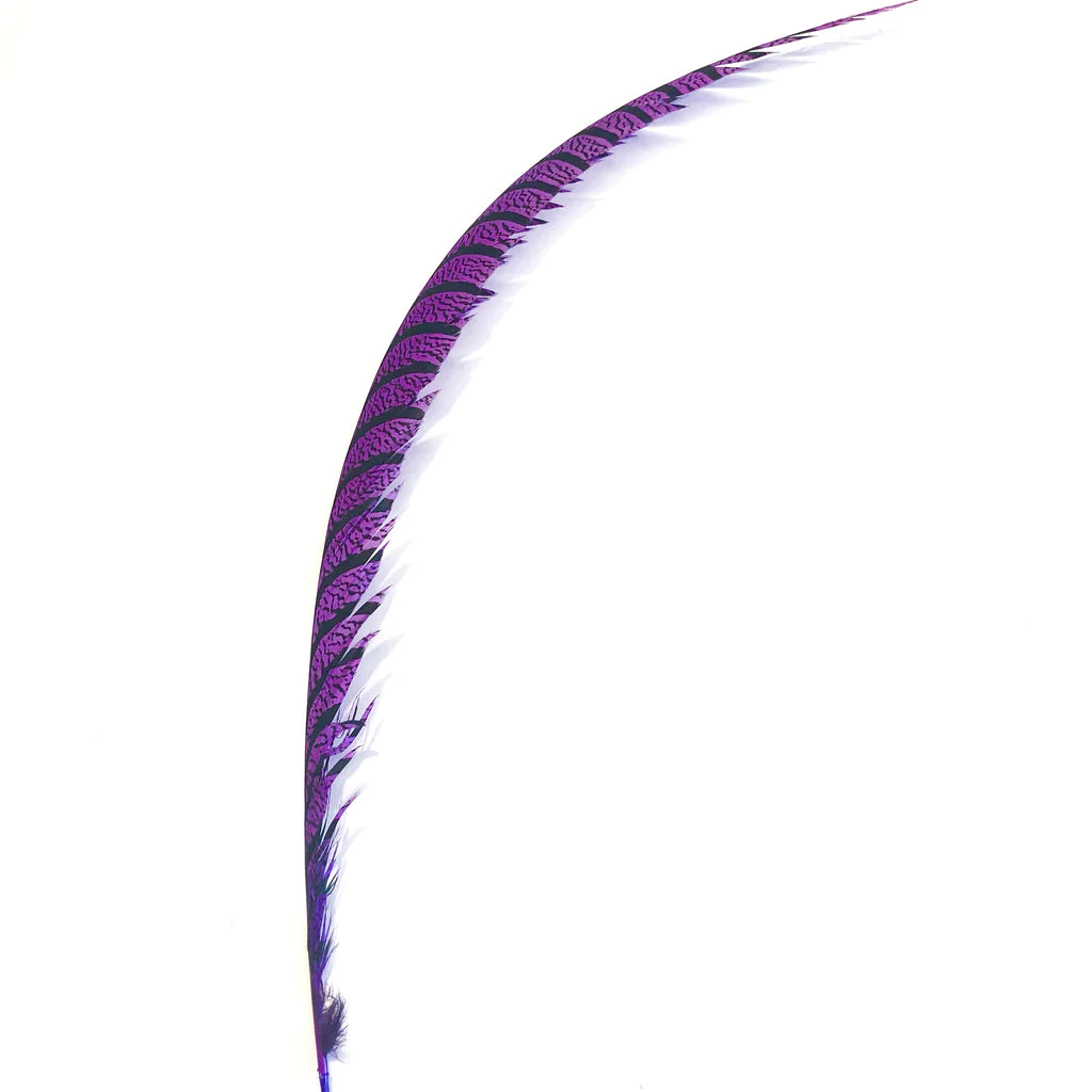Ofishl Lady Amherst Pheasant Centre Tail - view 2 of 4