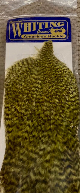 WHITING AMERICAN SADDLE ROOSTER GRIZZLY FULL CAPE