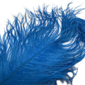Spirit River Ostrich Spey Plume