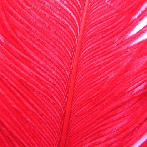 Ofishl Ostrich Spey Plumes Medium