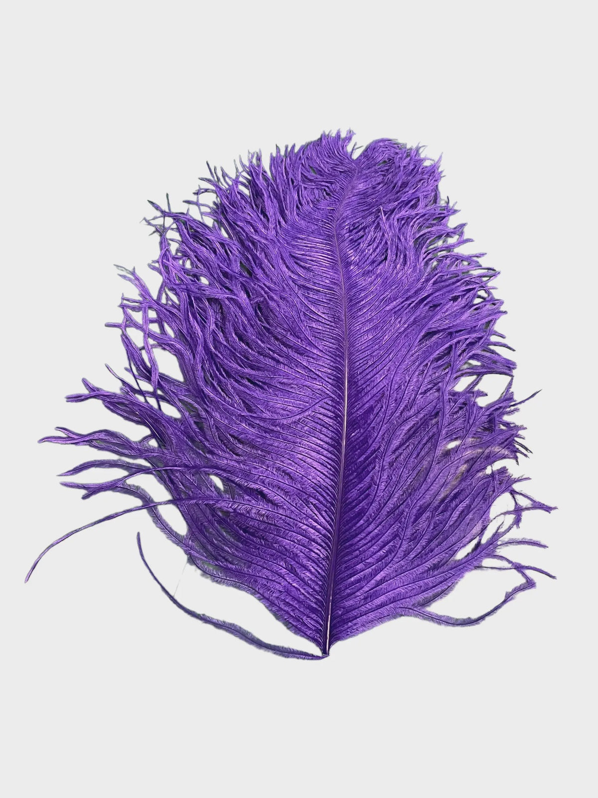 Ostrich Spey Plume