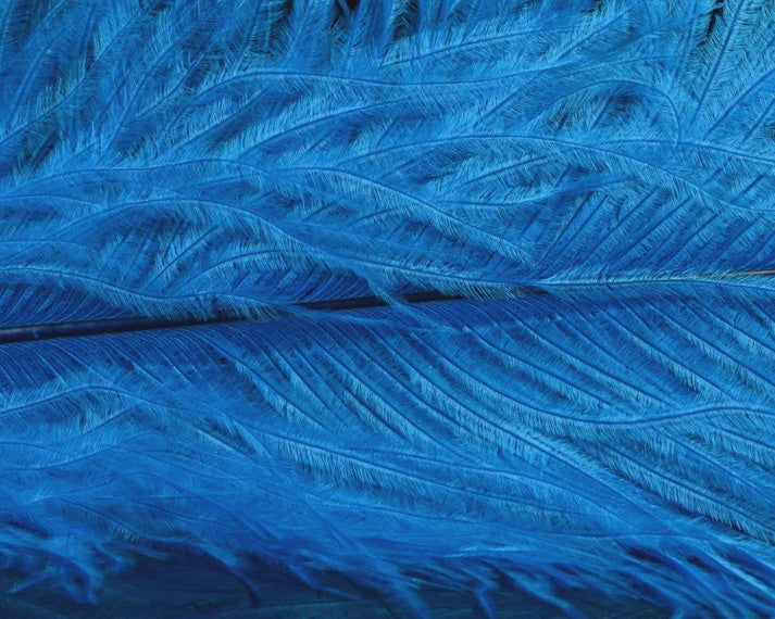 Spirit River Ostrich Spey Plume