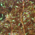 Hareline Cactus Chenille Large