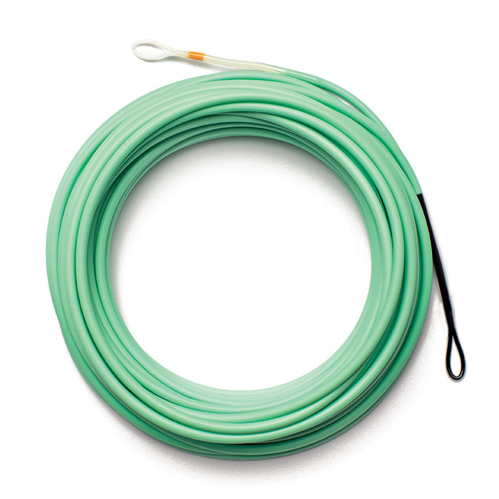 Airflo Skagit Driver 3.0