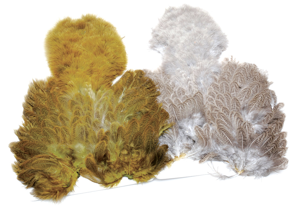 WHITING BRAHMA SOFT HACKLE CHICKABOU