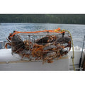 Bron's CT032 Pacific Stainless Steel Commercial Crab Trap Welded Wire 30"