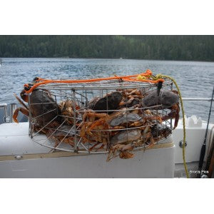 Bron's CT032 Pacific Stainless Steel Commercial Crab Trap Welded Wire 30"