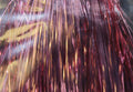 Flashabou - view 2 of 11