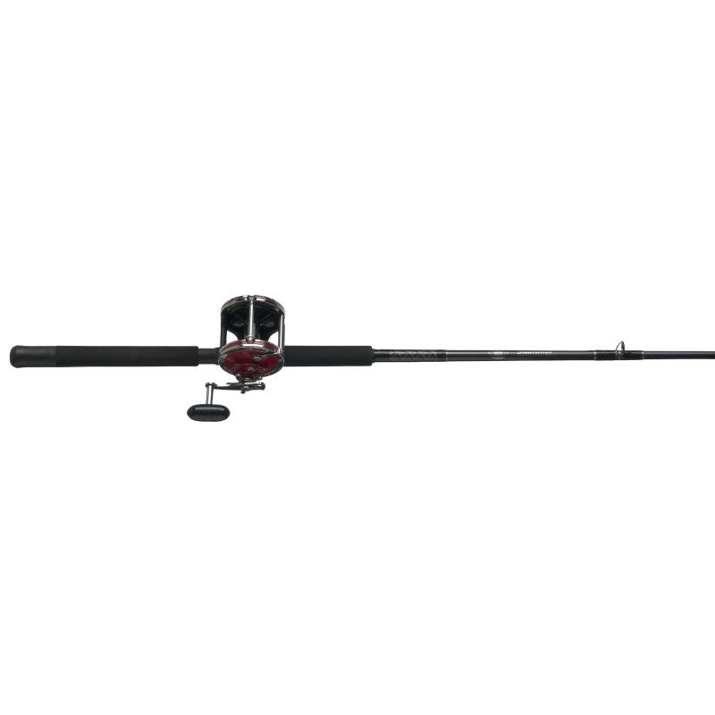 Penn Mariner Level Wind Combo with Braid