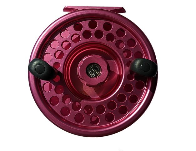 Salty Outdoors Reef Mooching/Downrigger Reel