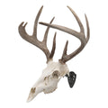 Allen Ez Mount Skull Hanger