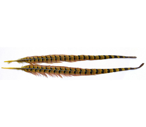 WAPSI RINGNECK PHEASANT TAIL PAIR IN CANADA