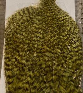 WHITING AMERICAN SADDLE ROOSTER GRIZZLY FULL CAPE IN CANADA