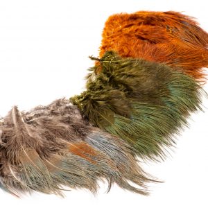 WAPSI RINGNECK RUMP HACKLE IN CANADA