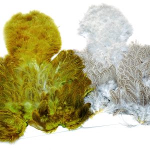 WHITING BRAHMA SOFT HACKLE CHICKABOU IN CANADA