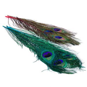 OFISHL PEACOCK EYES IN CANADA