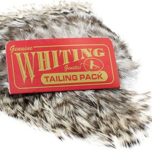 WHITING TAILING PACK GRIZZLY IN CANADA